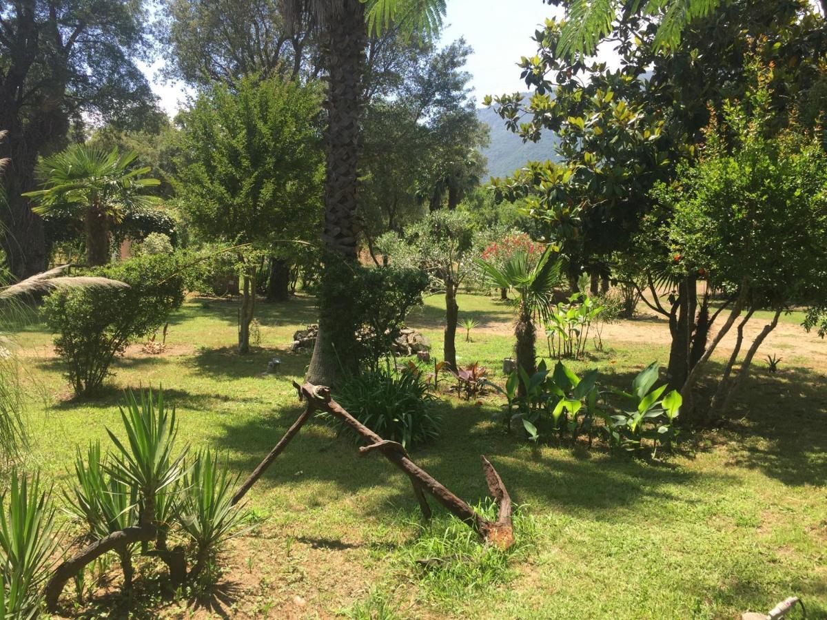 Residence Emilia Santa-Maria-Poggio  Εξωτερικό φωτογραφία