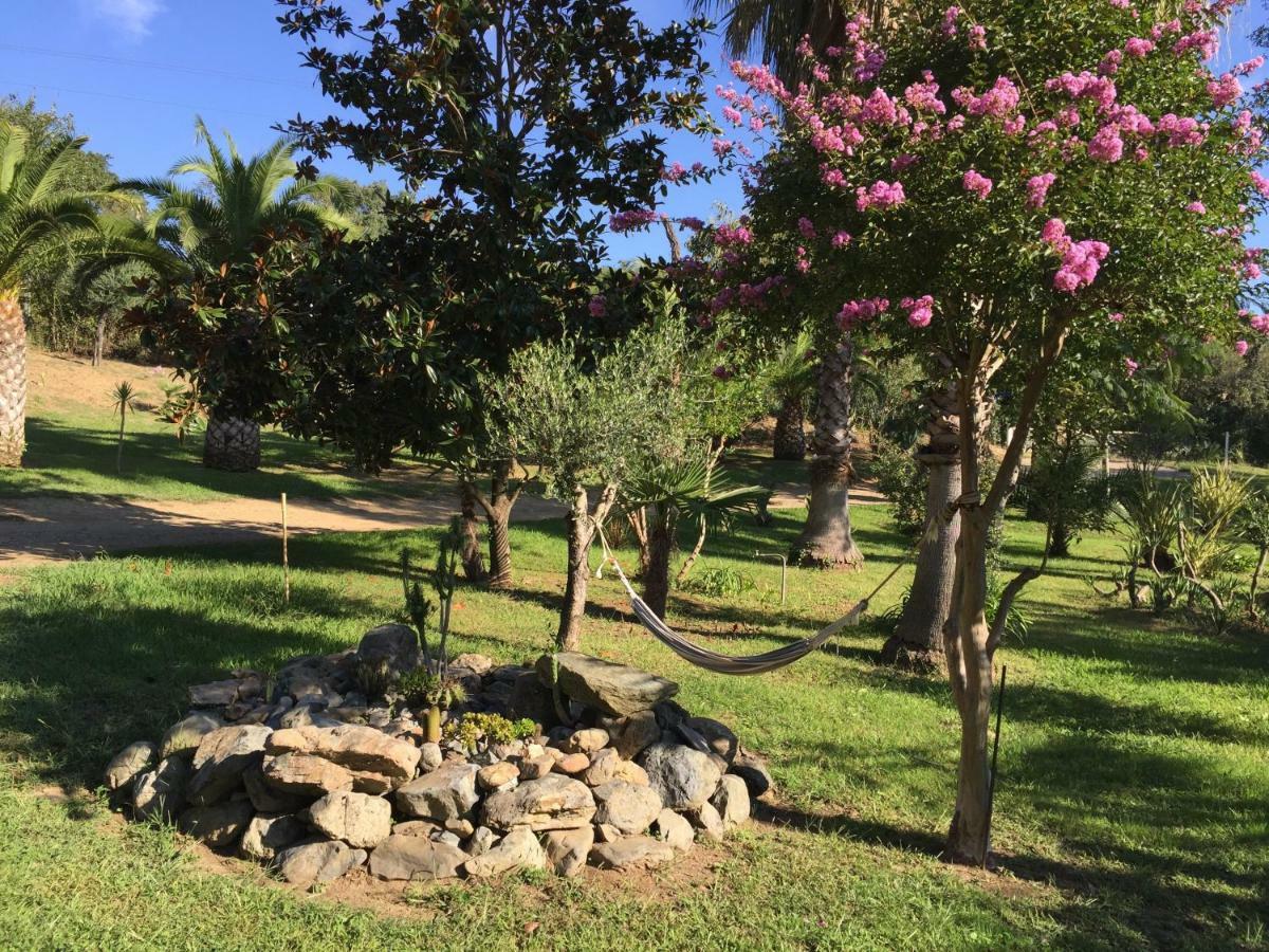 Residence Emilia Santa-Maria-Poggio  Εξωτερικό φωτογραφία