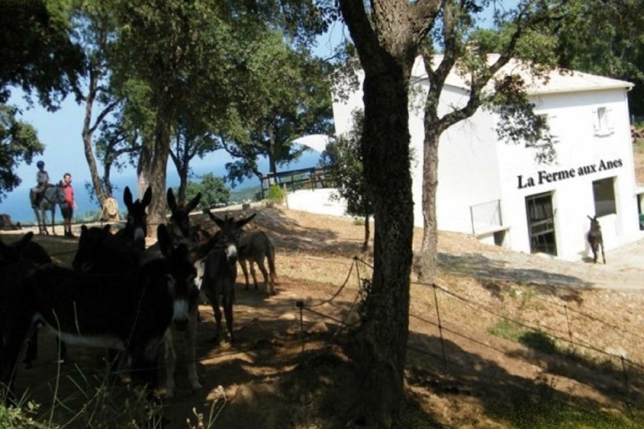 Residence Emilia Santa-Maria-Poggio  Εξωτερικό φωτογραφία